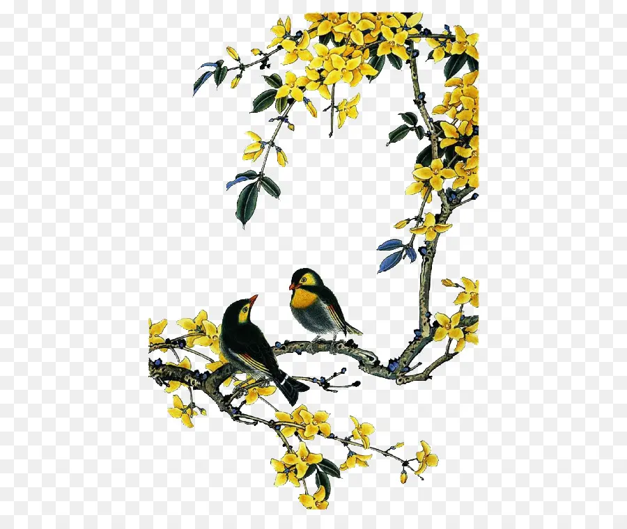 นก，Birdandflower ภาพวาด PNG