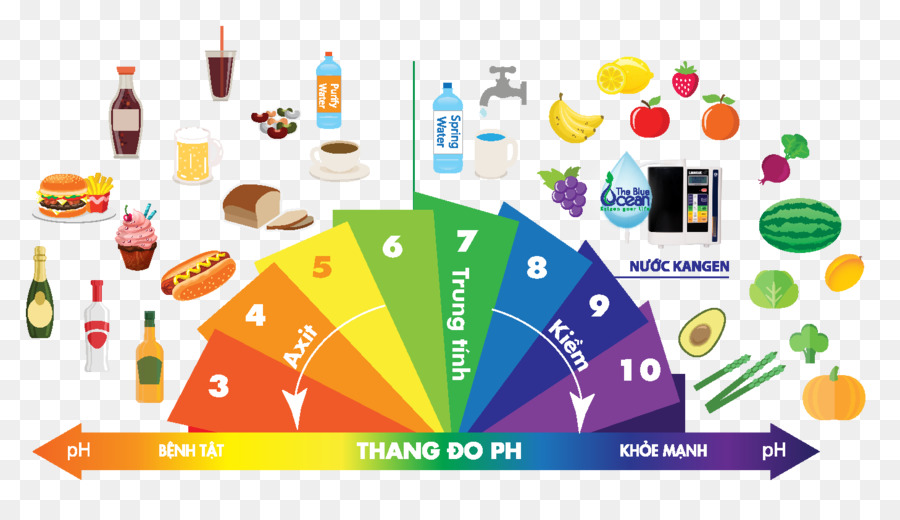 น้ำ Ionizer，กรด PNG