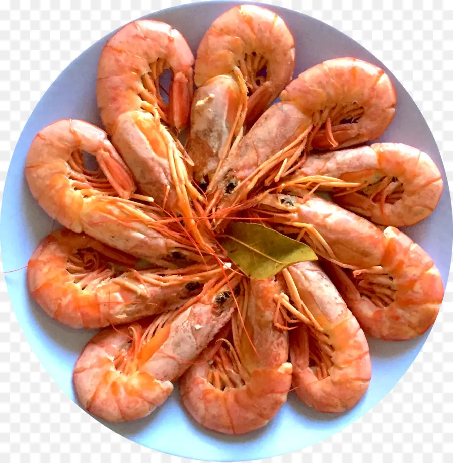 กุ้ง，อาหารทะเล PNG