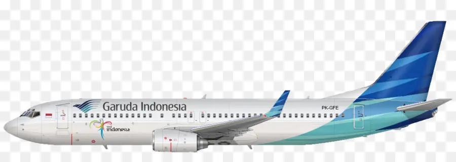 เครื่องบิน Garuda Indonesia，อากาศยาน PNG