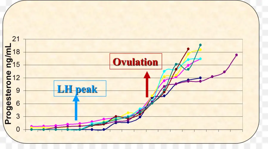 ระดับโปรเจสเตอโรน，ฮอร์โมน PNG