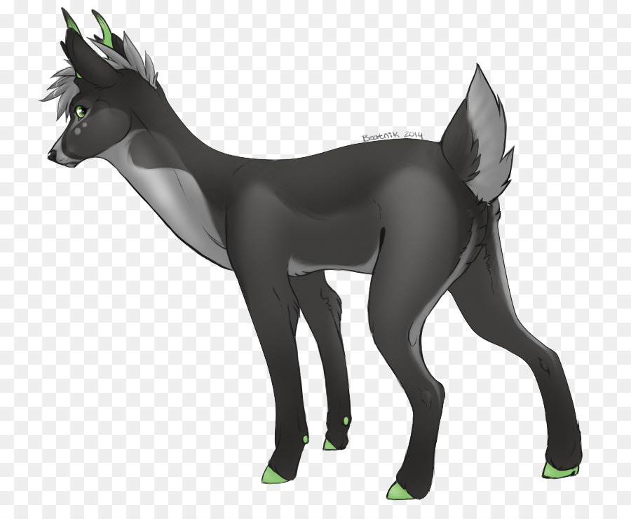 Canidae，กวาง PNG