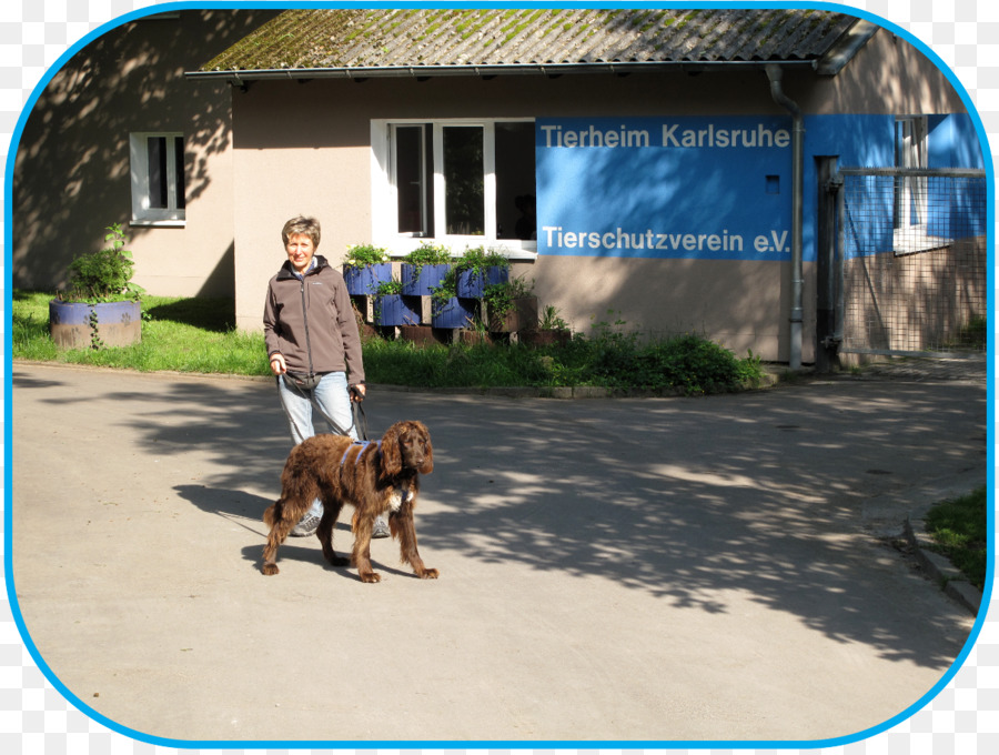 หมา，Tierschutzverein Karlsruhe U Umgebung Joule Per Mol PNG