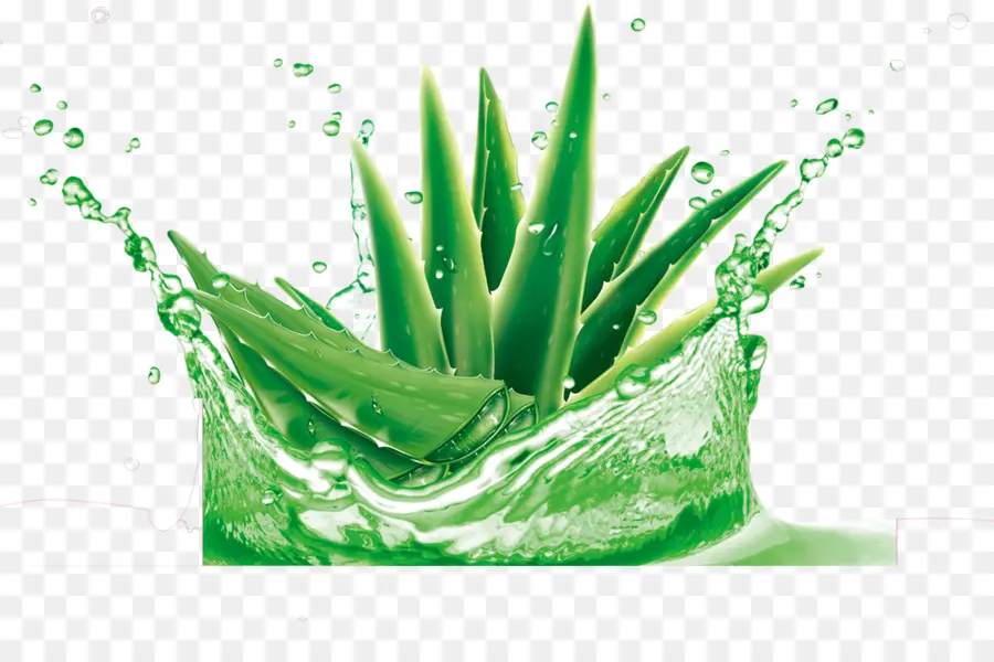 Aloe นบอกเวียร่าที่รัก，เจล PNG