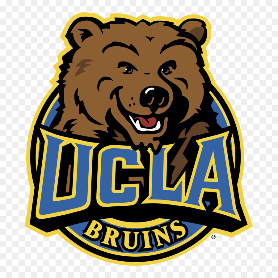 โลโก้ Ucla Bruins，หมี PNG