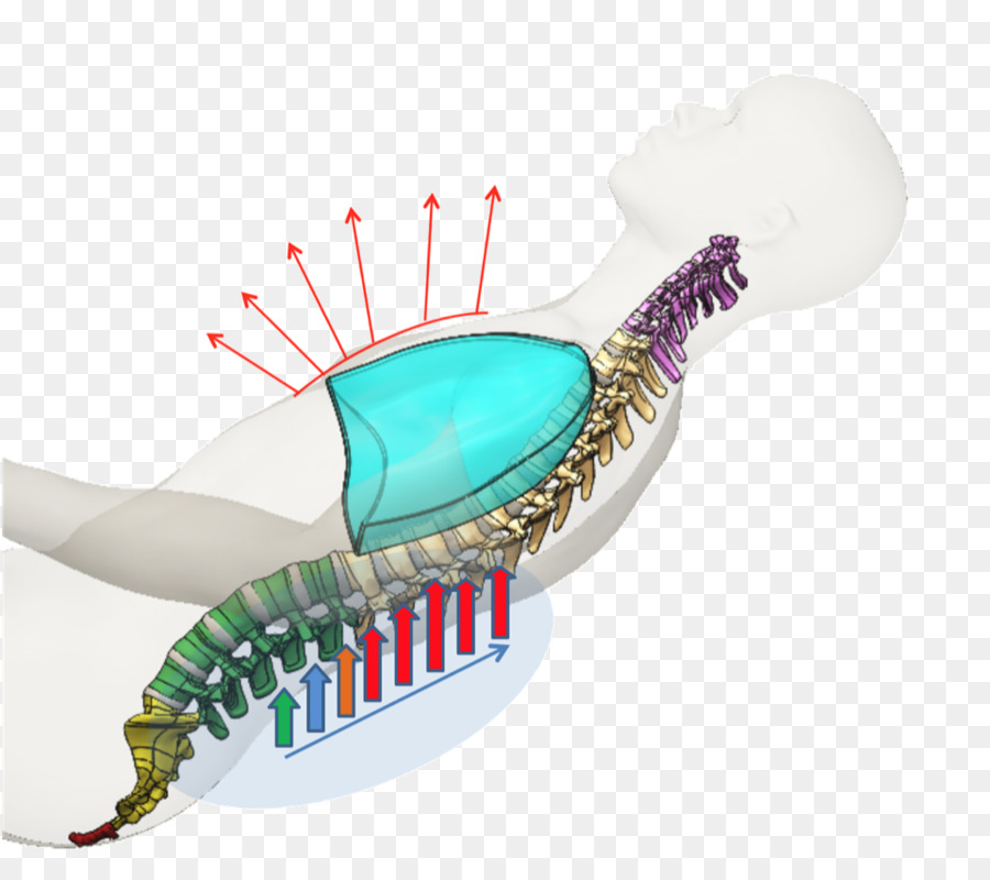 สุขภาพ，หายใจ PNG