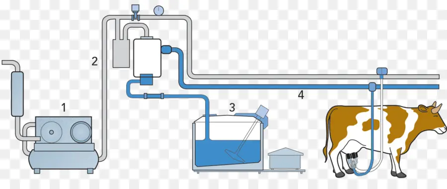 ไดอะแกรมเครื่องรีดนม，วัว PNG