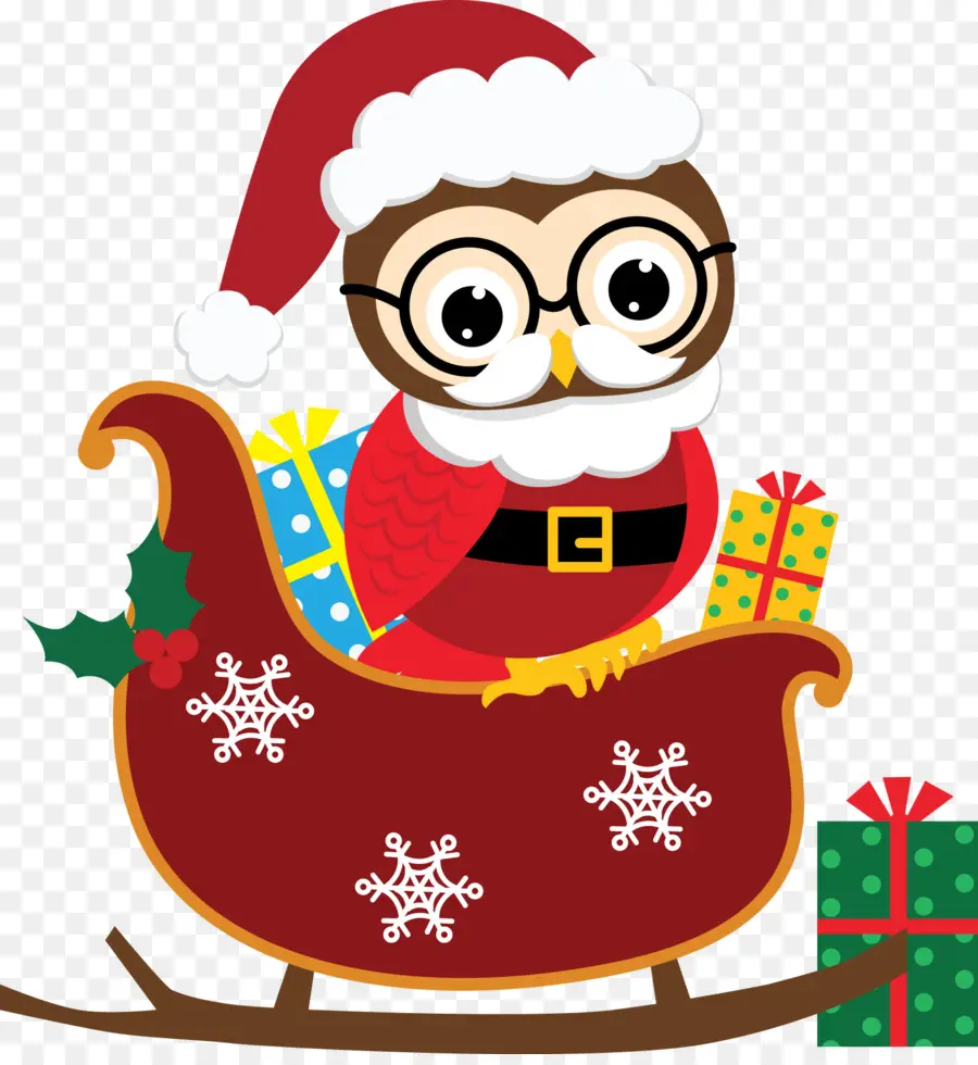 Santa Owl ใน Sleigh，นกฮูก PNG