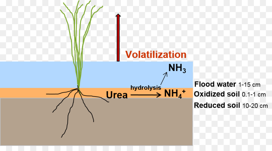 Volatilisation，ดิน PNG