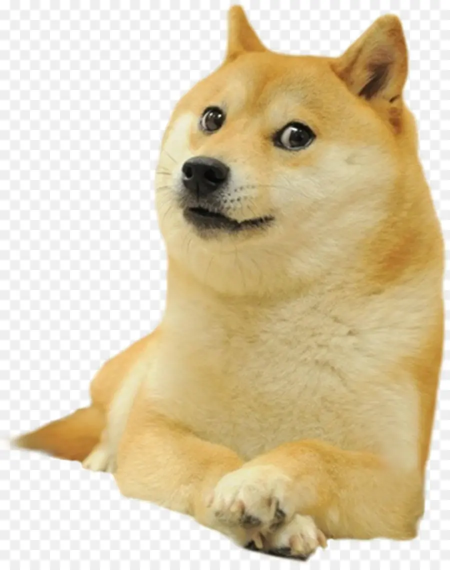 Shibaba Inu，ชิบะ PNG