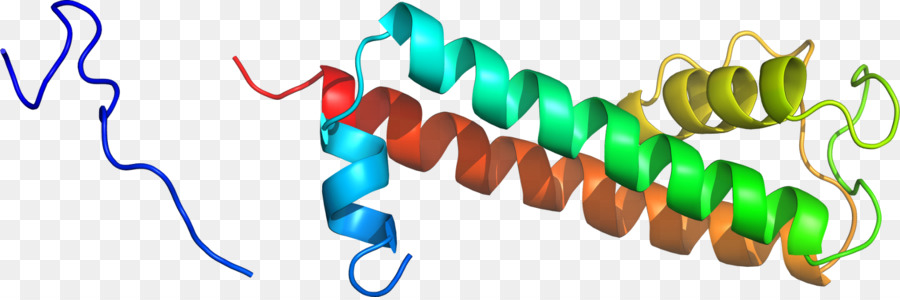 เกลียวโปรตีน，โมเลกุล PNG