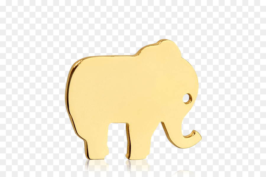 อินเดียนช้าง，แอฟริกันช้าง PNG