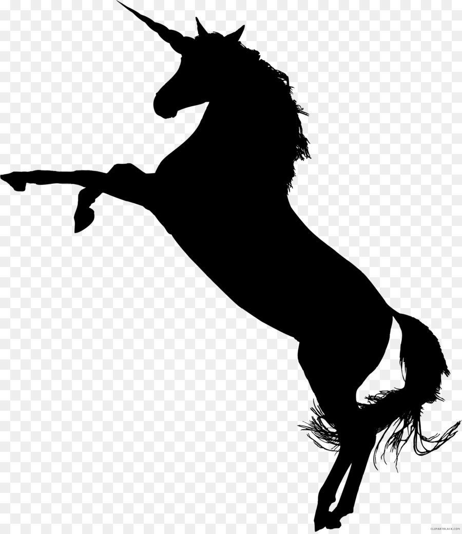 ม้าอาหรับม้า，อเมริกันวาดรูปม้า PNG