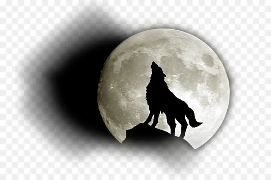 Wolf Howling At Moon，ดวงจันทร์ PNG