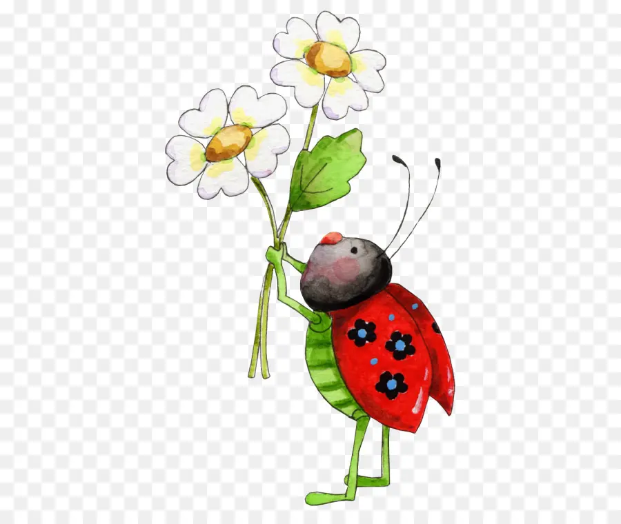 แม้แต่งานบี้แมลงวั，Ladybird แมลงปีกแข็ง PNG