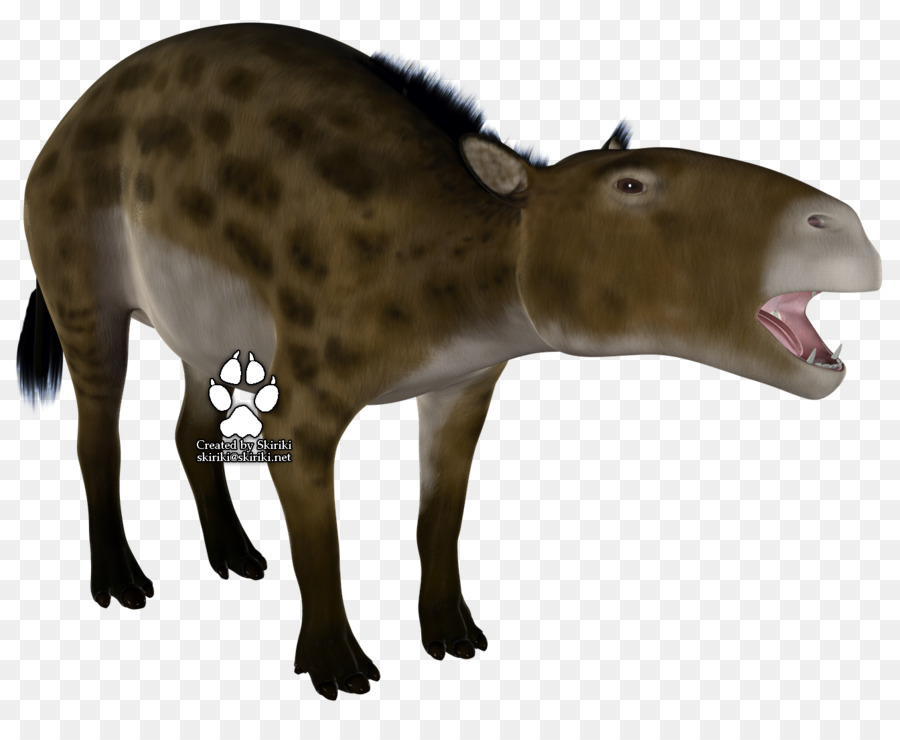 Eurohippus，Propalaeotherium PNG
