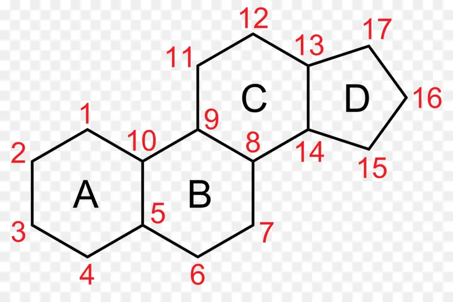 โครงสร้างสเตียรอยด์，เคมี PNG