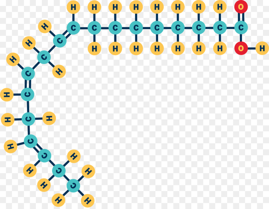 กรด Gras Omega3，ยังไอ้หมูอ้วนกรด PNG