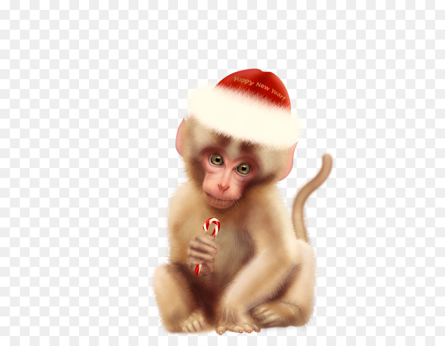 Macaque，คริสมาสต์ Ornament PNG