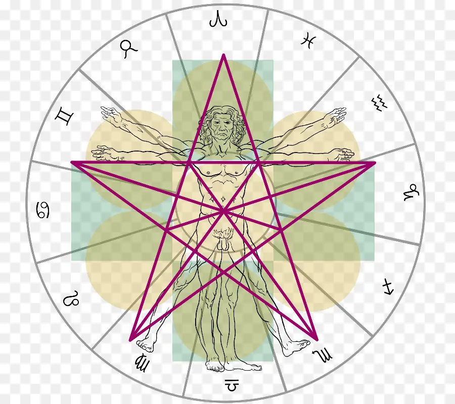 ชาย Vitruvian，Leonardo Da Vinci PNG