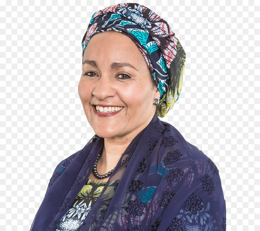 Amina เจ Mohammed，Devex PNG