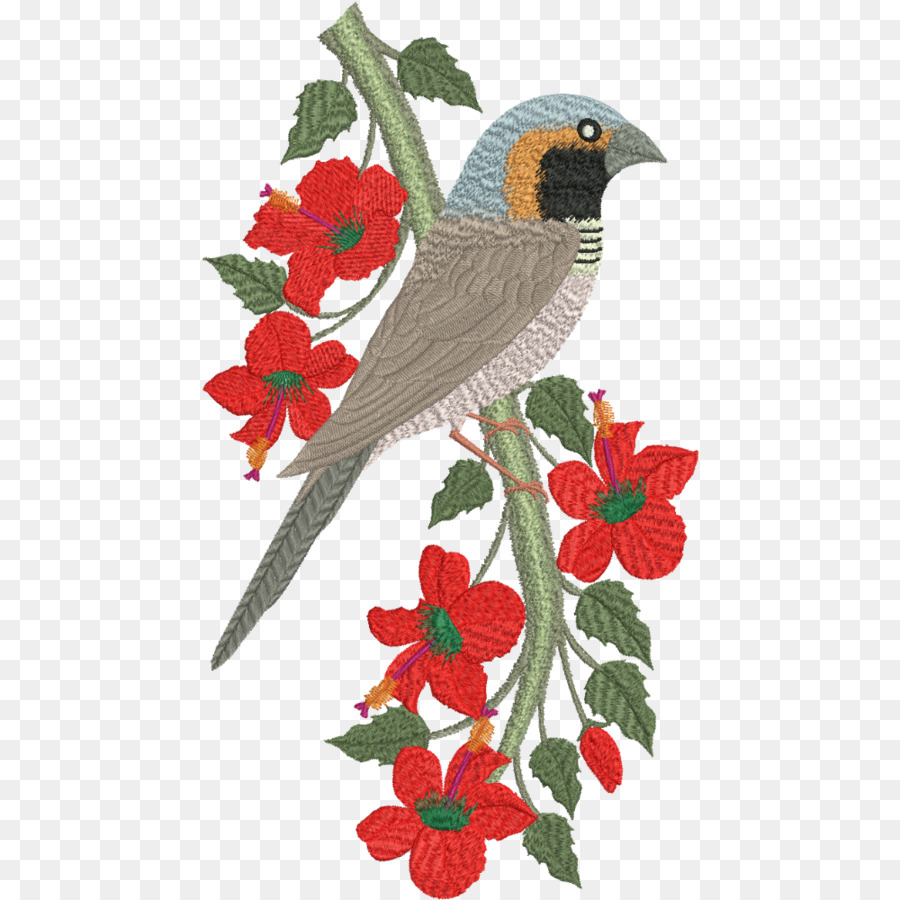 Songbird，Pictorella Mannikin PNG