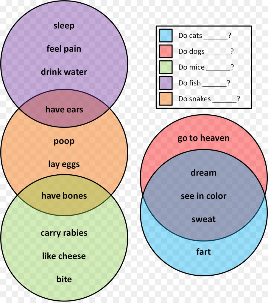 Venn แผนผังให้นายดูได้นะ，แผนผังให้นายดูได้นะ PNG