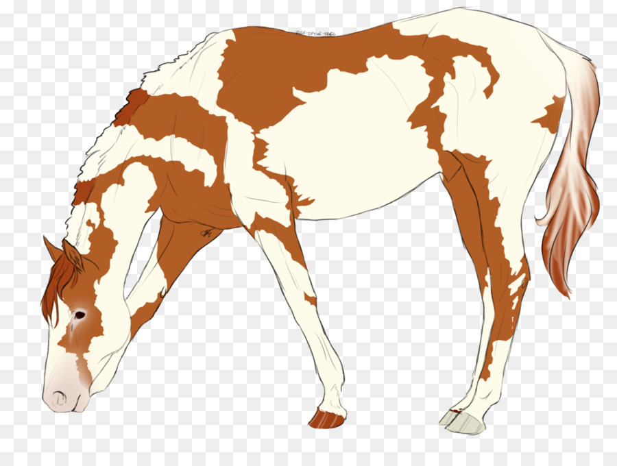 Foal，แผง PNG