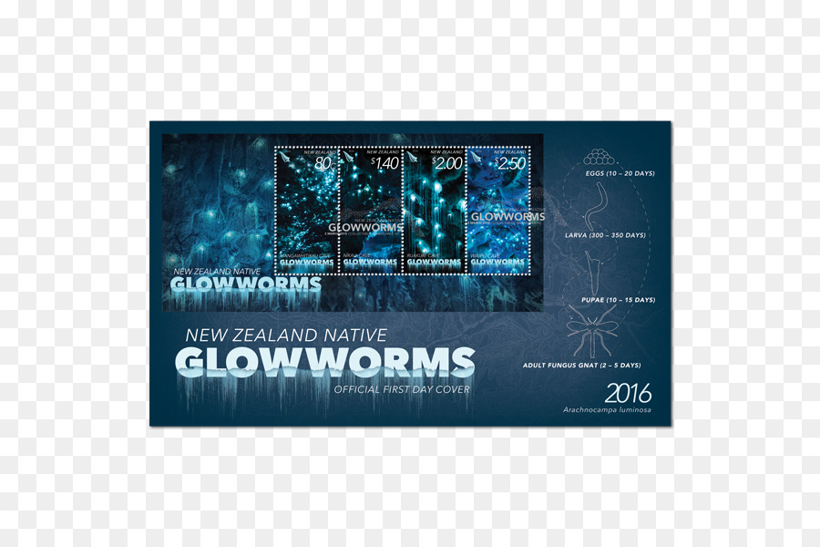 นิวซีแลนด์，Glowworm PNG