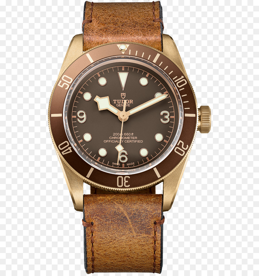 Tudor นาฬิกา，ทองแดงป่วยๆ PNG