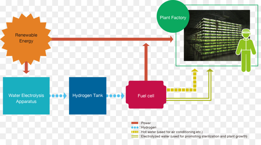 ออกแบบกราฟิ，แบรนด์ PNG