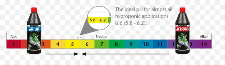 มาตราส่วน Ph ไฮโดรโปนิก，กรด PNG