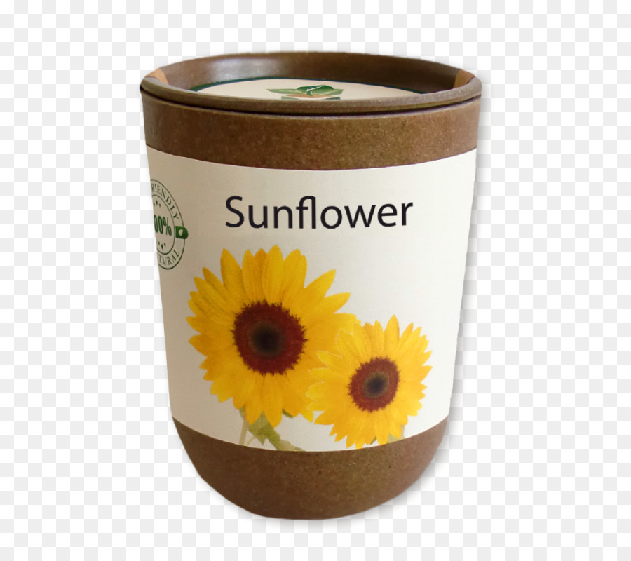 เหมือนกัน Sunflower，เมล็ดพันธ์ PNG