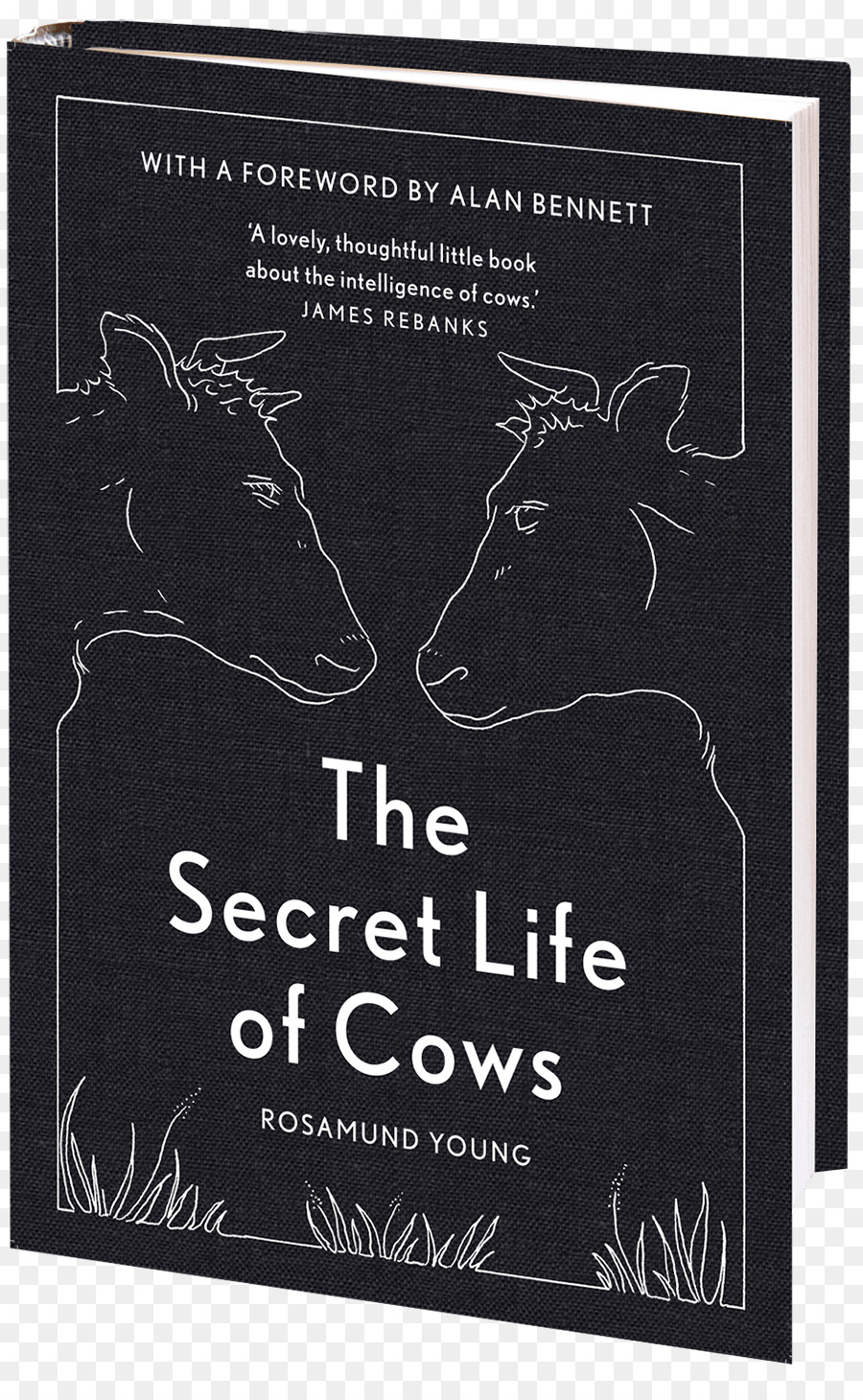 ความลับในชีวิตของวัว，วัวหรอก PNG