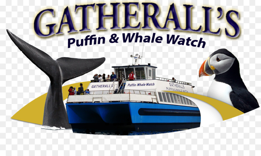 Gatherall น Puffin เวลดู，เซนต์จอห์น PNG