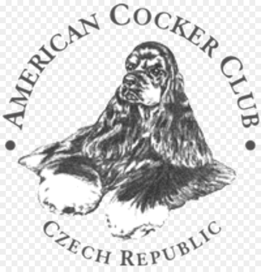 ภาษาอังกฤษ Cocker Spaniel，สหรัฐอเมริกา PNG