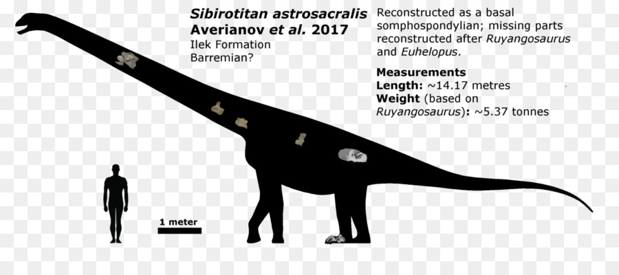 Sibirotitan，งานศิลปะ PNG