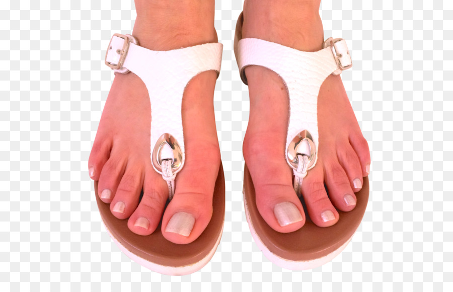 Flipflops，จับ PNG