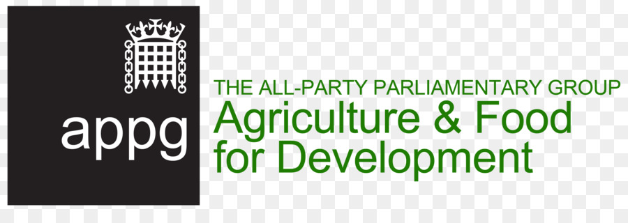 Allparty Parliamentary กลุ่ม，ภาษี PNG