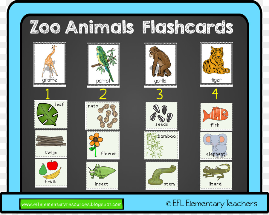 สัตว์ Zoo Flashcards，สัตว์ PNG