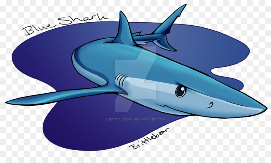ฉลาม，โคบอลสีน้ำเงิน PNG