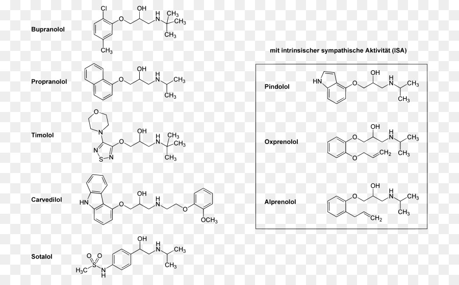 เบต้า Blocker，Adrenergic Receptors PNG