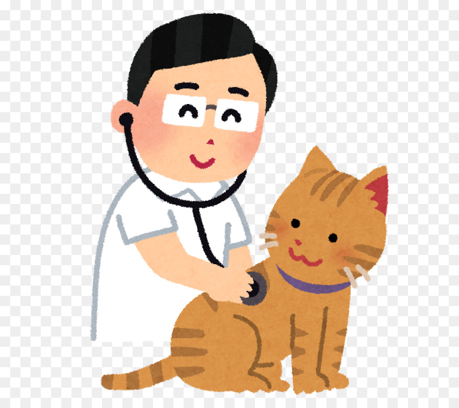 แมว，สัตวแพทย์ PNG