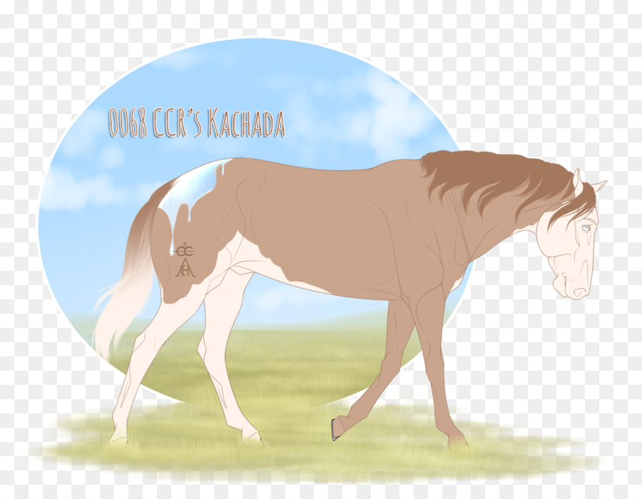 Foal，แผง PNG