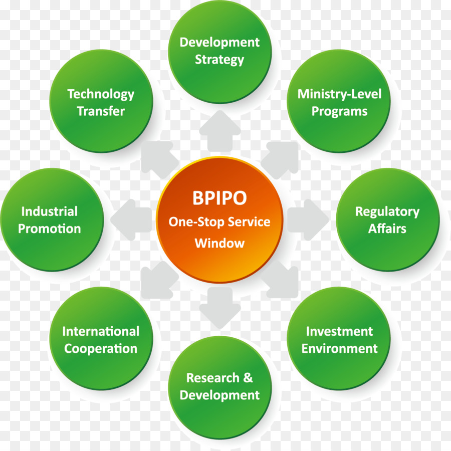 แบรนด์，Regulatory บการจัดการธุรกิจ PNG