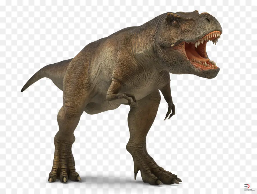 T Rex，ฟัน PNG