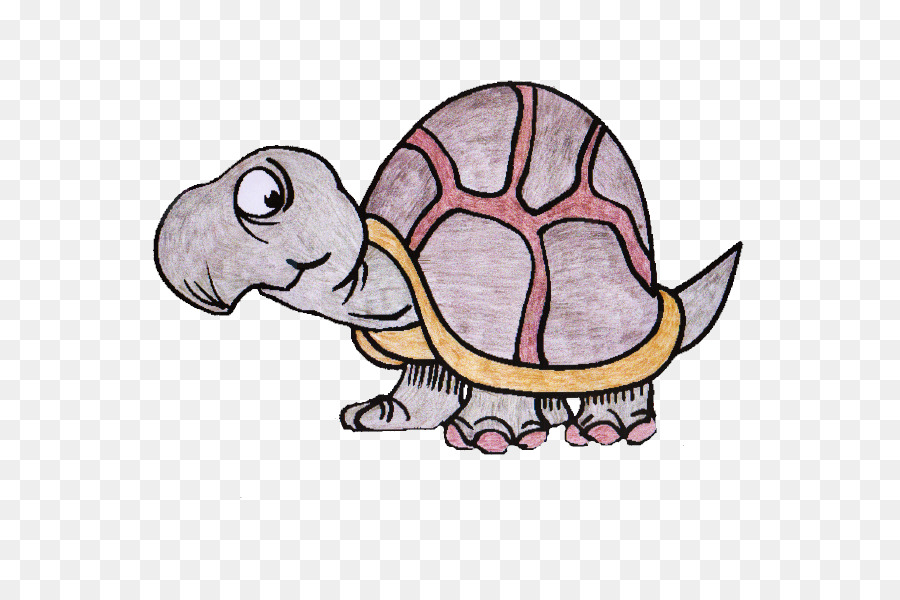 เต่า，Tortoise และ Hare PNG