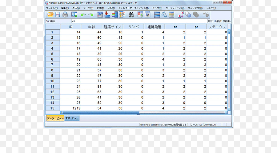 โปรแกรมคอมพิวเตอร์，เส้น PNG