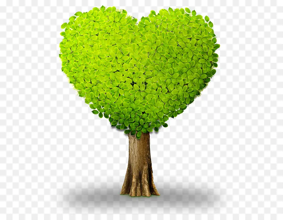 หัวใจ，สีเขียว PNG