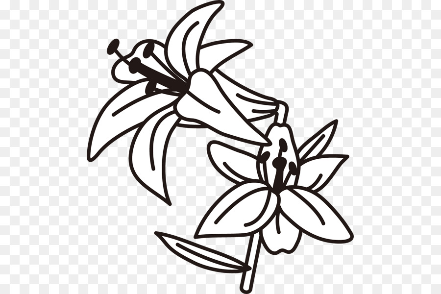 สีดำและสีขาว，ดอกไม้ PNG
